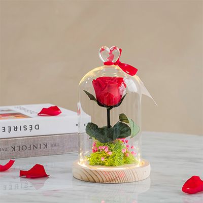 Rose Éternelle Cadeau Femme Boîte Ours en Rose avec Bijoux
