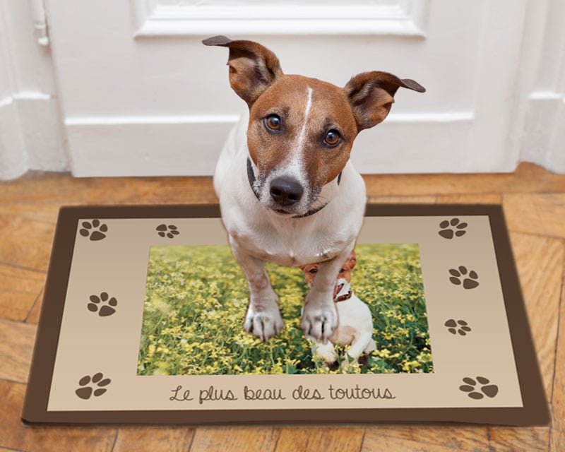 Tapis pour chien - Photo