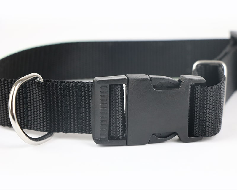 Collier pour chien Personnalisable - Papattes