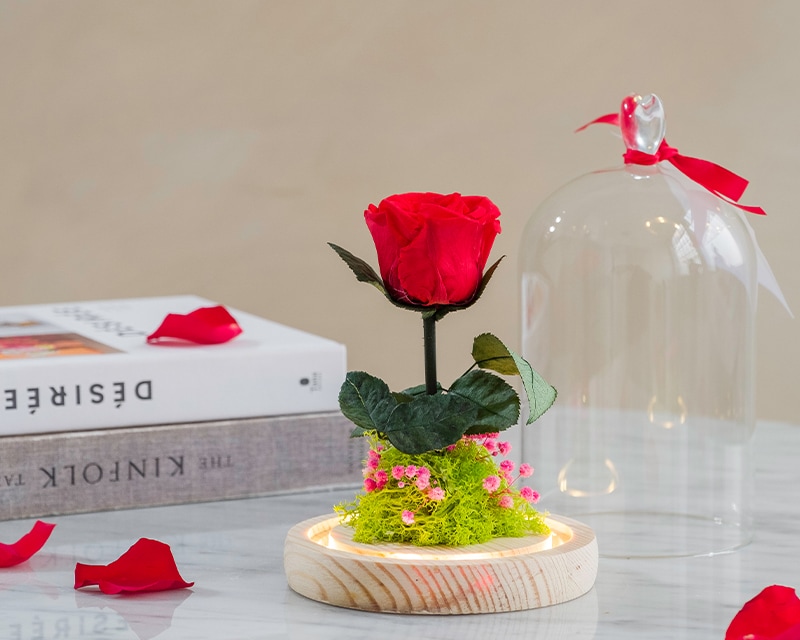 Rose éternelle sous cloche lumineuse avec carte personnalisée - Cadeaux.com