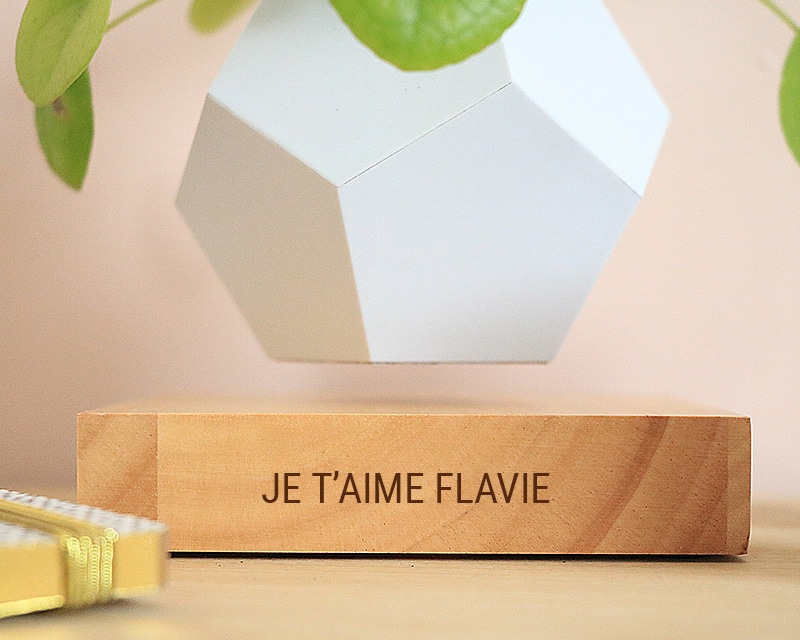 Pot de fleur en lévitation personnalisable