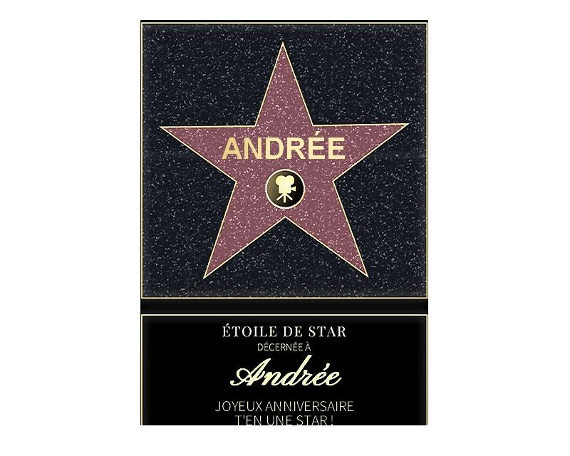 Affiche etoile de star personnalisée pour une Andrée