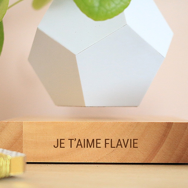 Pot de fleurs en lévitation personnalisé - Cadeaux.com