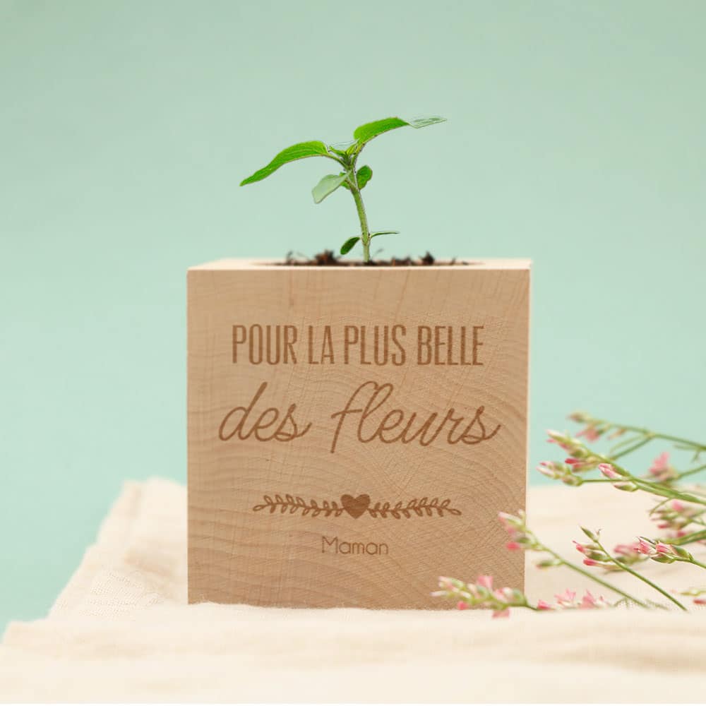 Ecocube personnalisé - Prénom - Cadeaux.com