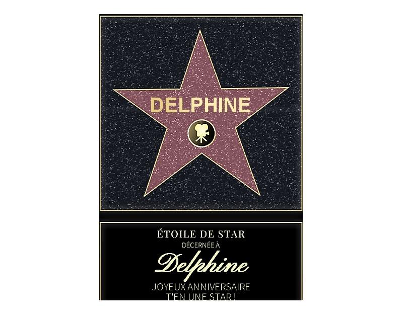 Affiche etoile de star personnalisée pour une Delphine