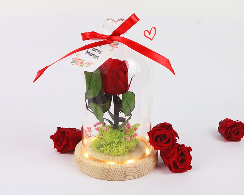 Rose éternelle sous cloche lumineuse avec carte personnalisée - Cadeaux.com