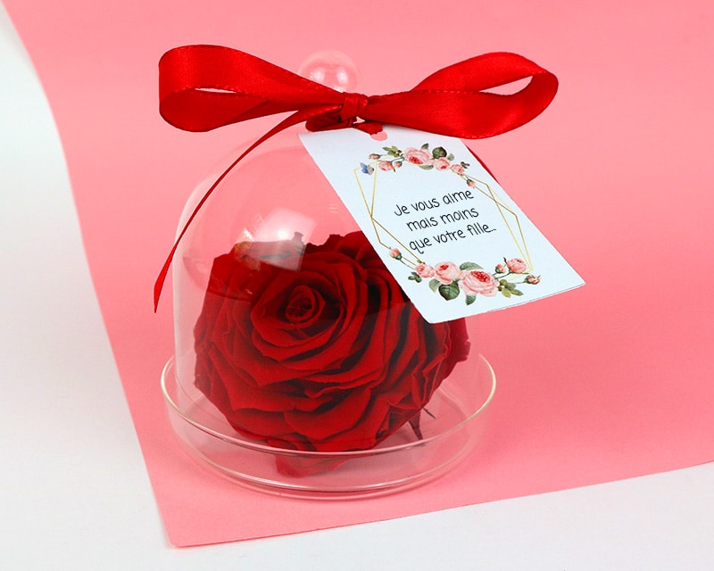 Cadeau Femme Idee Cadeau Femme, Rose Eternelle Idée Cadeau Femme