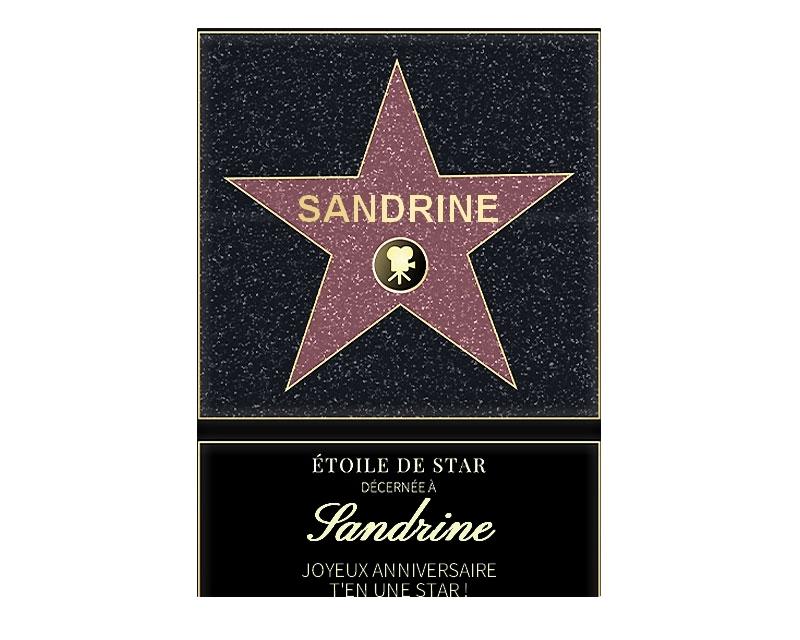 Affiche etoile de star personnalisée pour une Sandrine