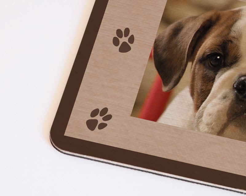 Tapis pour chien - Photo