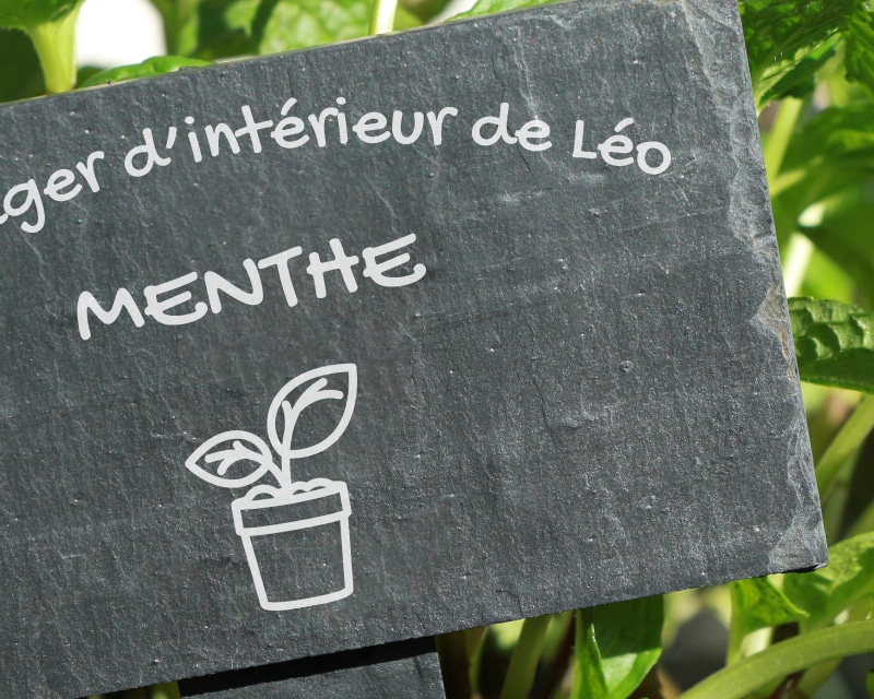 Mini-ardoise pour plante personnalisable - Potager