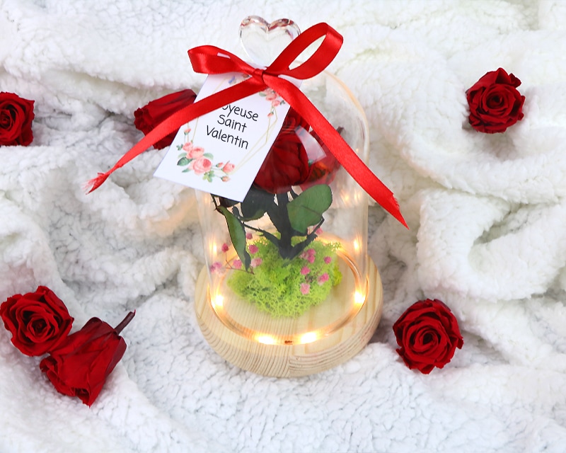 Rose éternelle sous cloche lumineuse avec carte personnalisée - Cadeaux.com